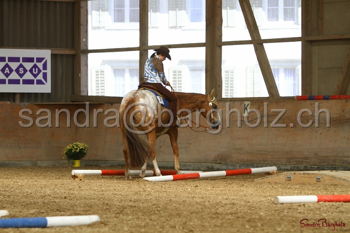 26-ApHC GT_195.jpg